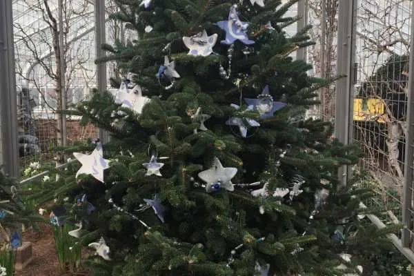 A Longwood Christmas