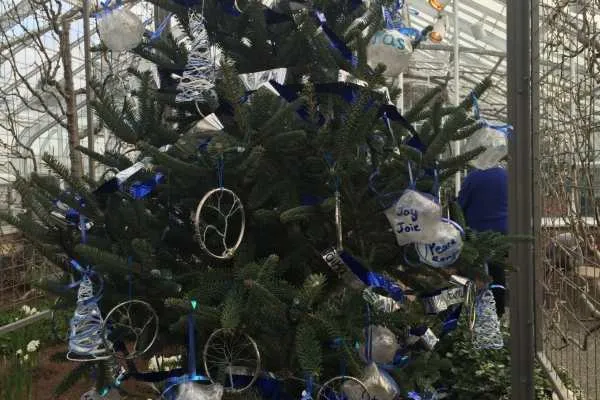 A Longwood Christmas