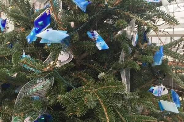 A Longwood Christmas