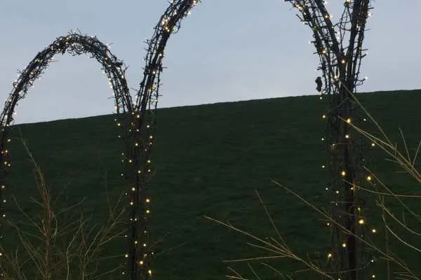 A Longwood Christmas