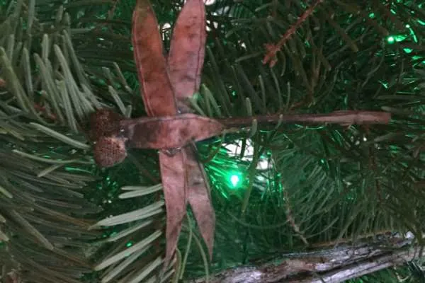 A Longwood Christmas