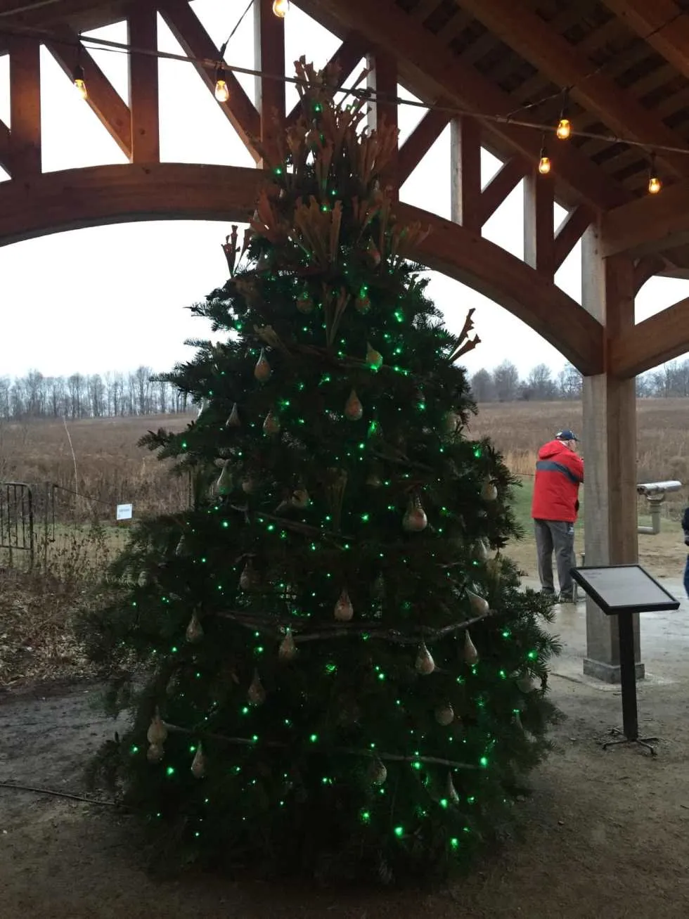 A Longwood Christmas