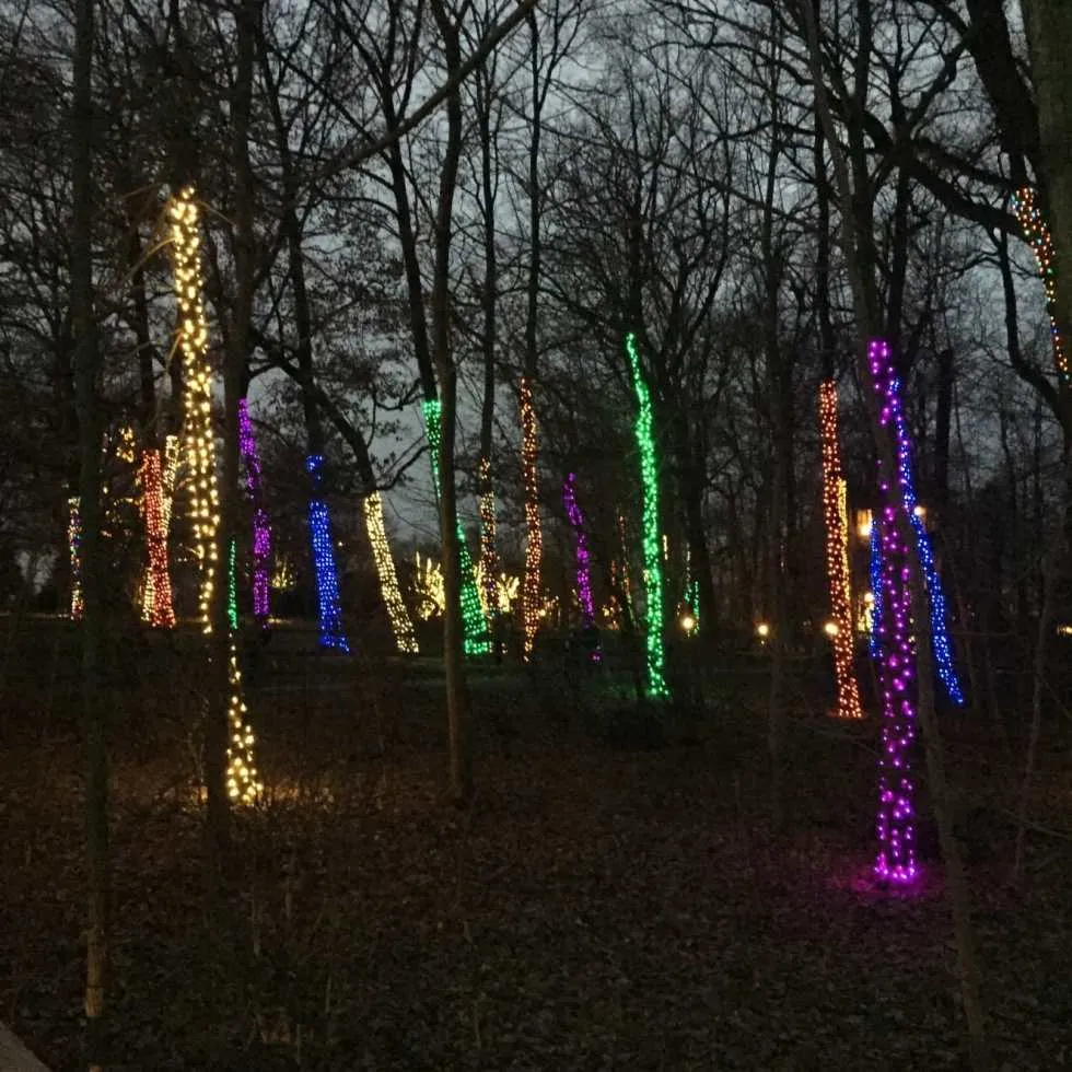 A Longwood Christmas