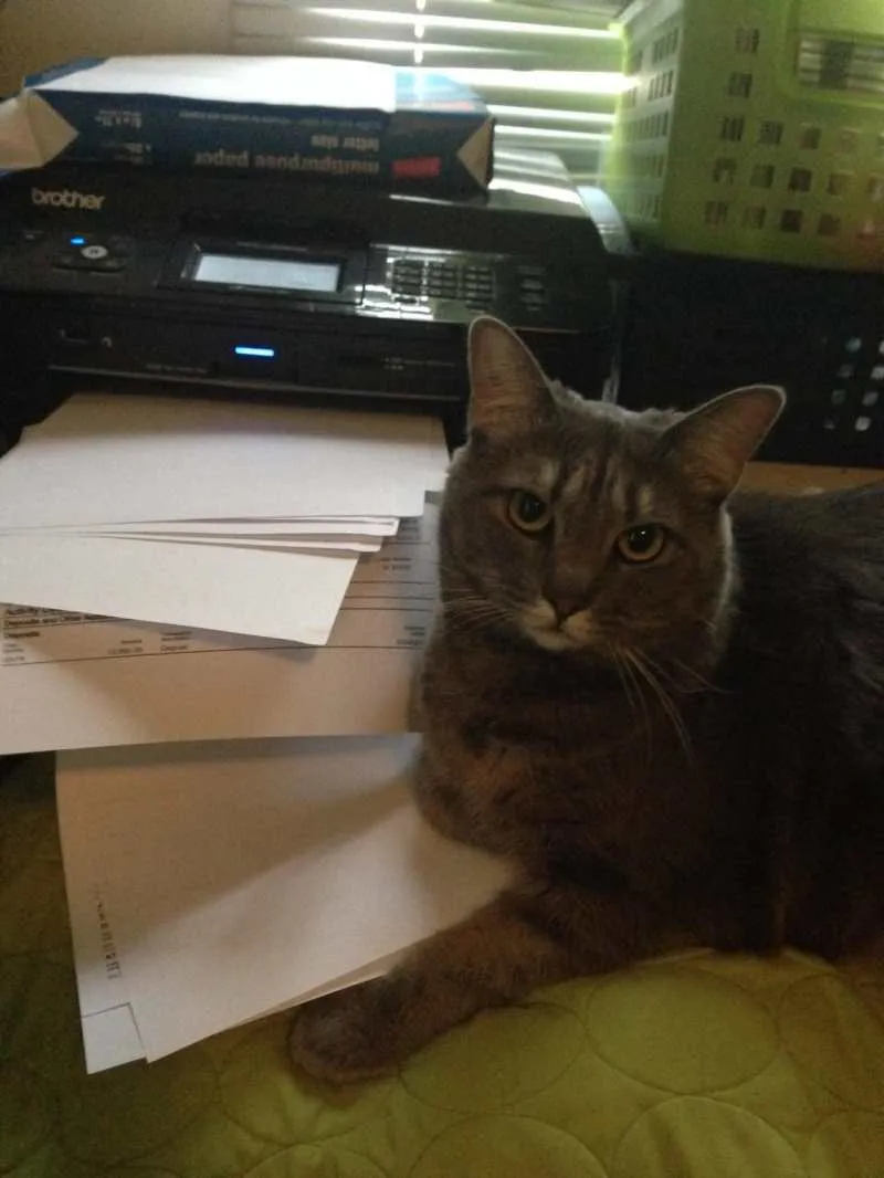 I didn't do it.