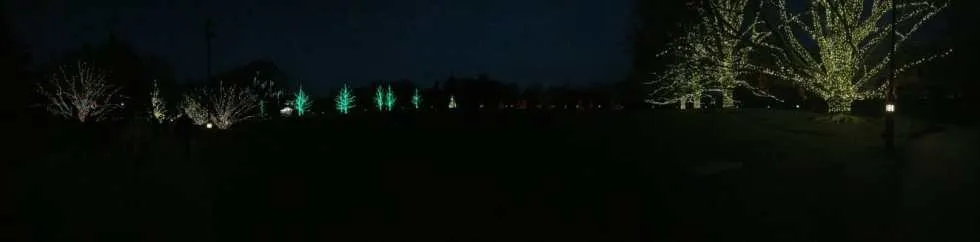 A Longwood Christmas