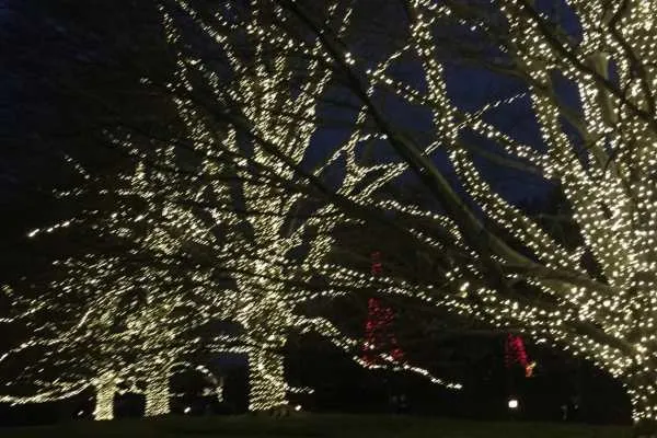 A Longwood Christmas