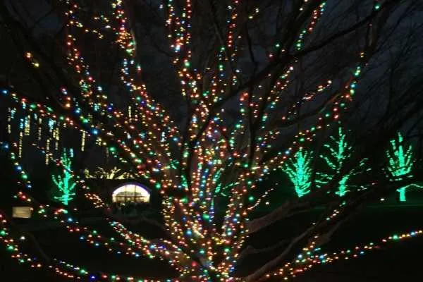 A Longwood Christmas