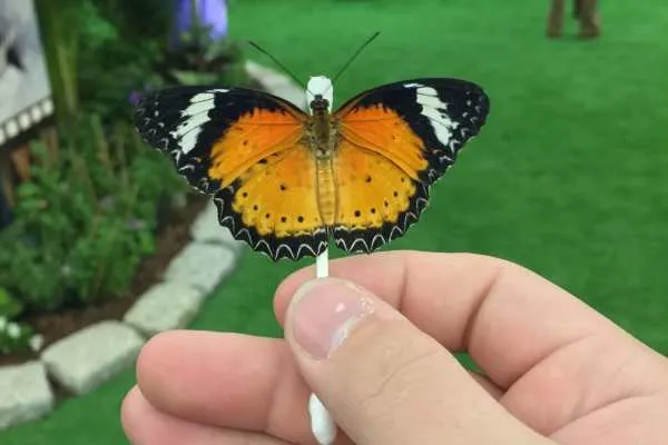 Philly Flower Show 2015 Recap by