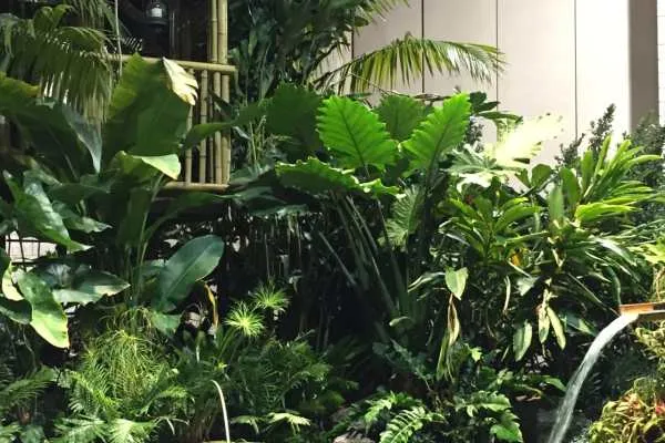 Philly Flower Show 2015 Recap by