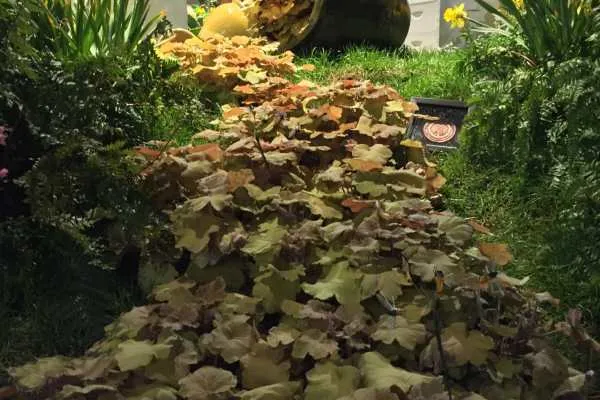 Philly Flower Show 2015 Recap by
