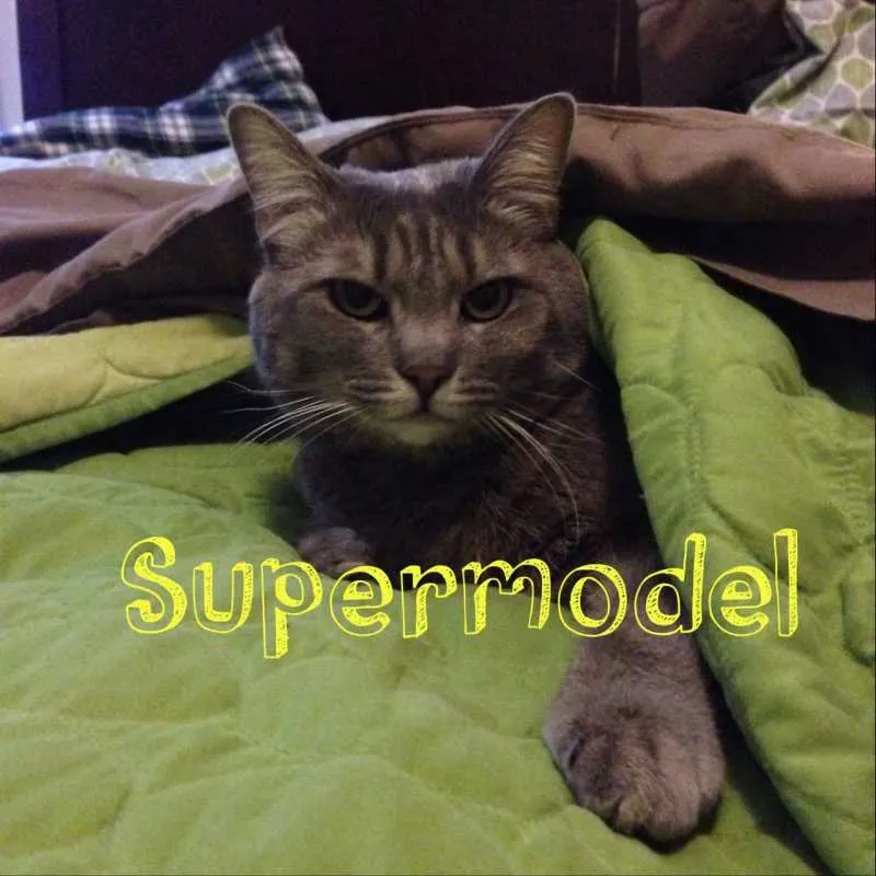 supermodel