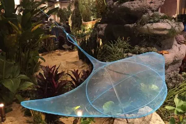 Philly Flower Show 2015 Recap by