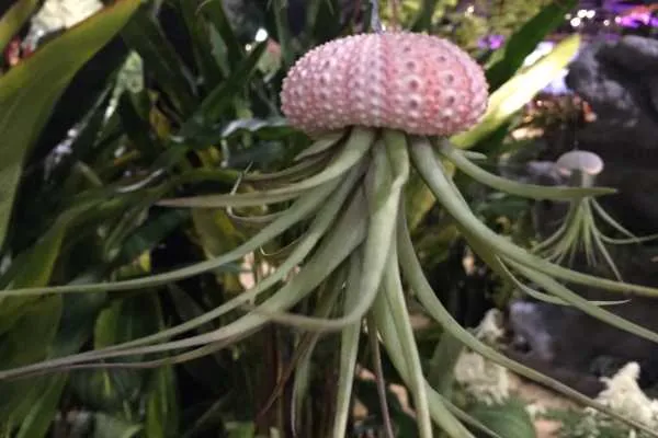 Philly Flower Show 2015 Recap by