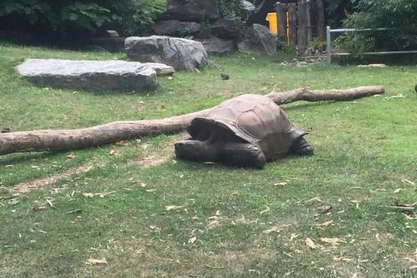 Philadelphia Zoo!
