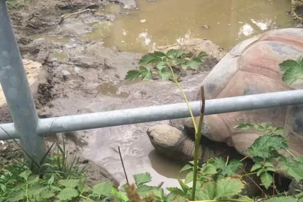 Philadelphia Zoo!