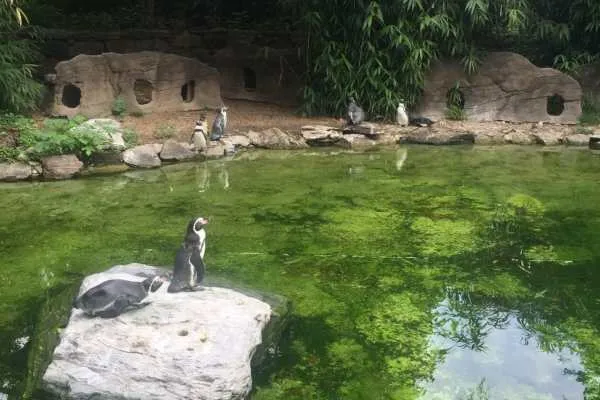Philadelphia Zoo!
