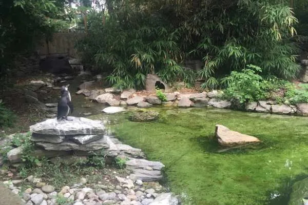Philadelphia Zoo!