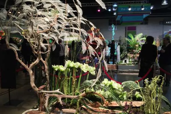 Philly Flower Show 2015 Recap by