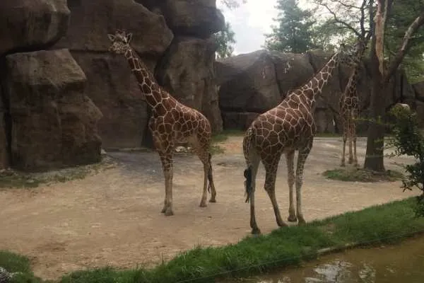 Philadelphia Zoo!