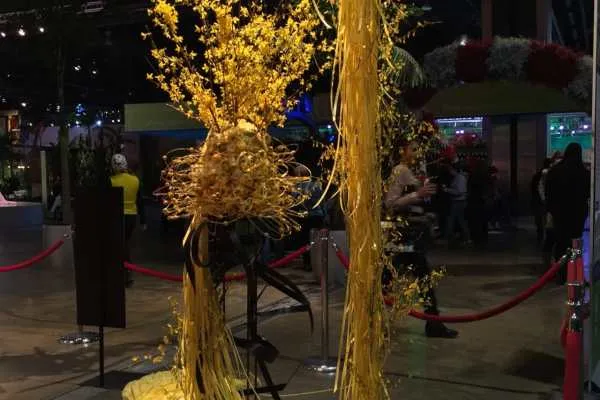 Philly Flower Show 2015 Recap by