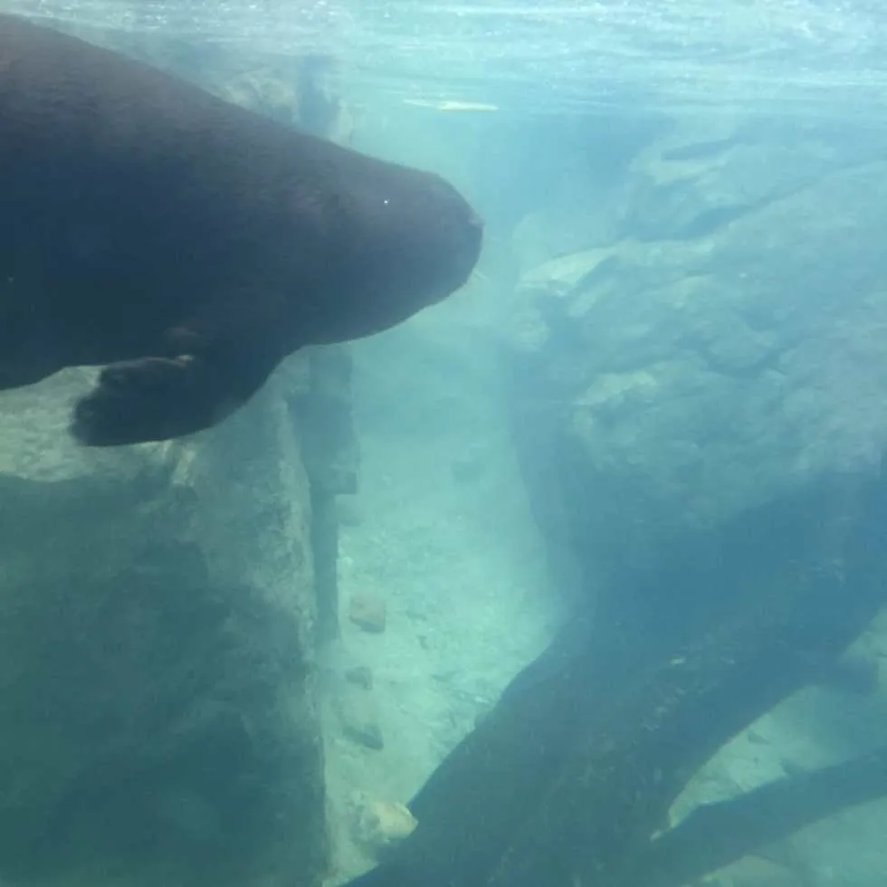 Philadelphia Zoo!