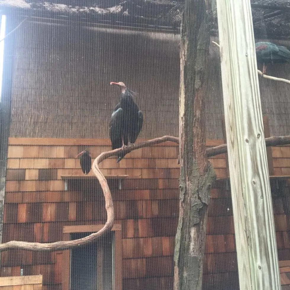 Philadelphia Zoo!