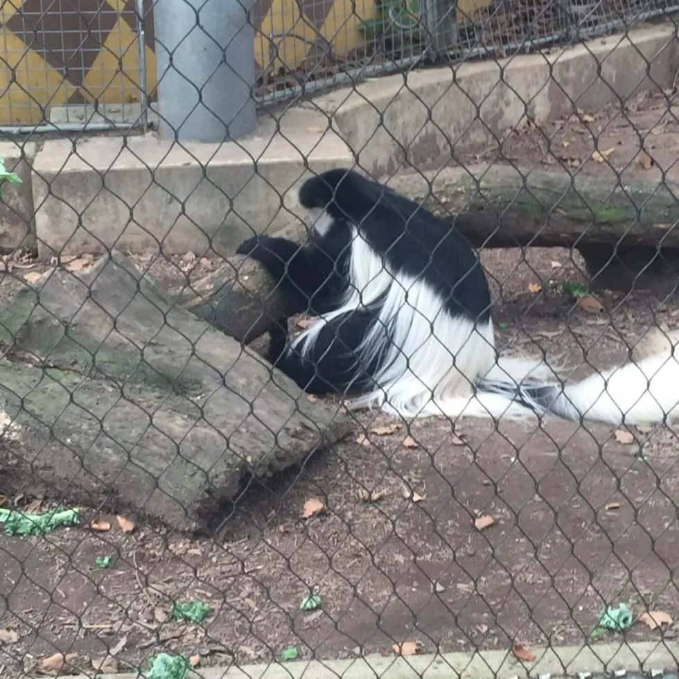 Philadelphia Zoo!
