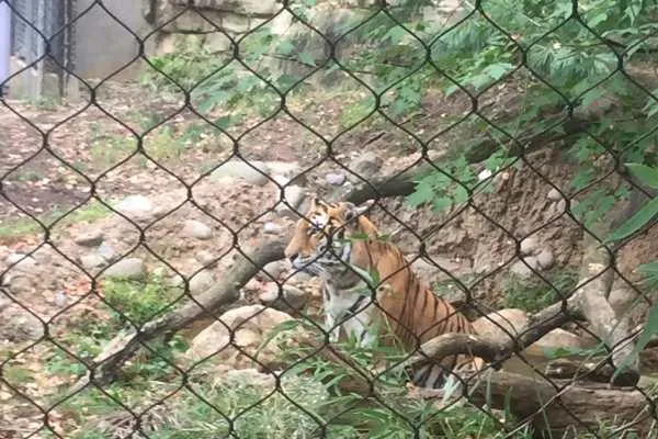 Philadelphia Zoo!