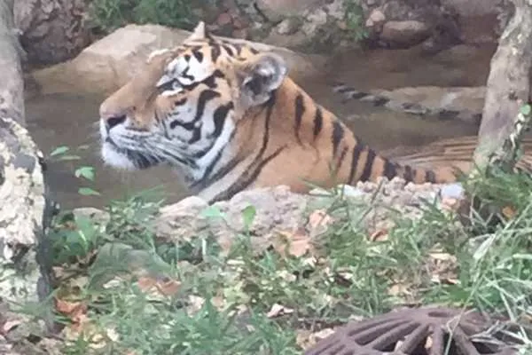 Philadelphia Zoo!