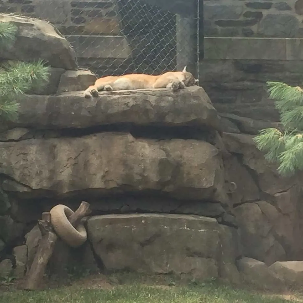 Philadelphia Zoo!