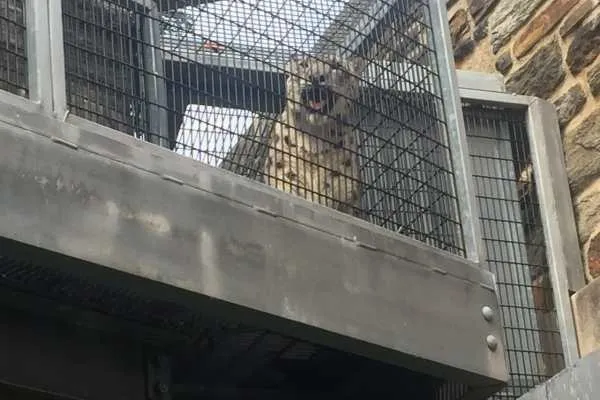 Philadelphia Zoo!
