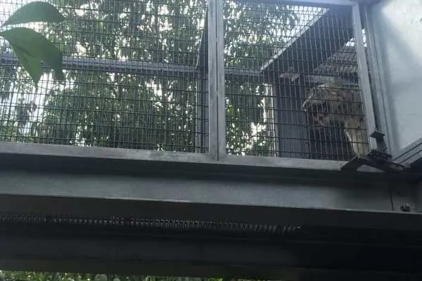 Philadelphia Zoo!