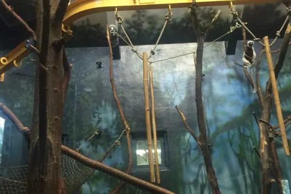 Philadelphia Zoo!