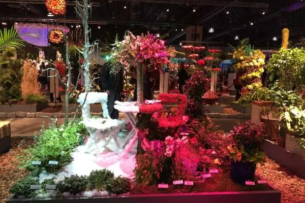 Philly Flower Show 2015 Recap by
