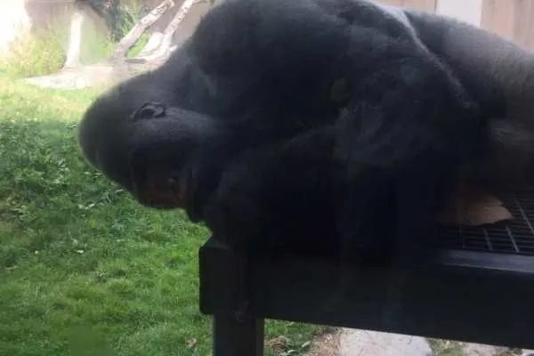 Philadelphia Zoo!
