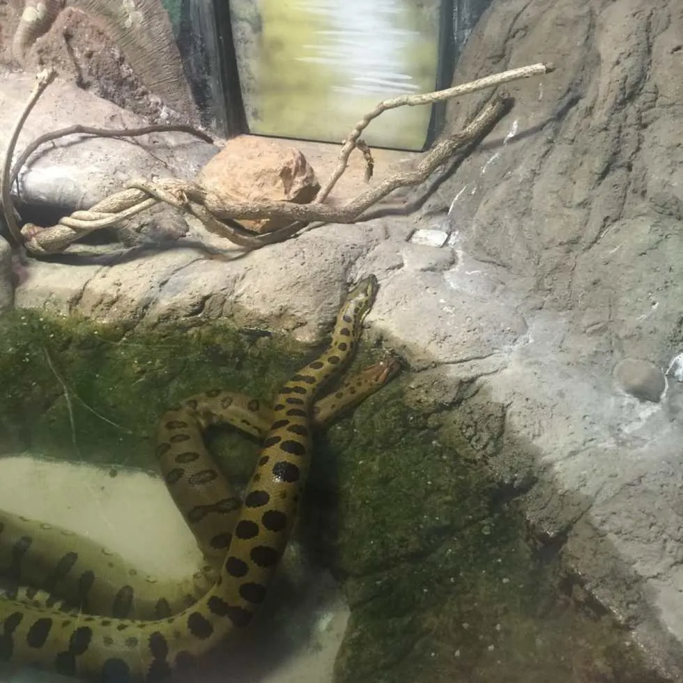 Philadelphia Zoo!