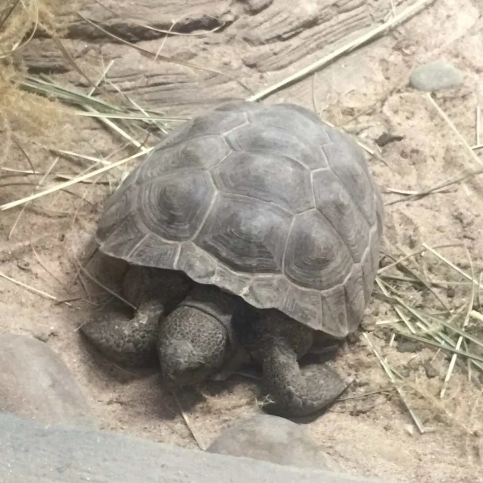 Philadelphia Zoo!