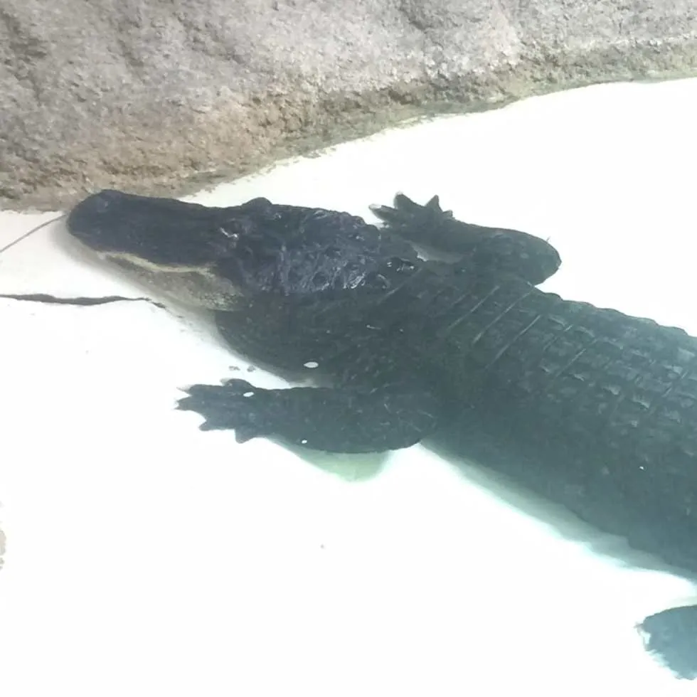 Philadelphia Zoo!