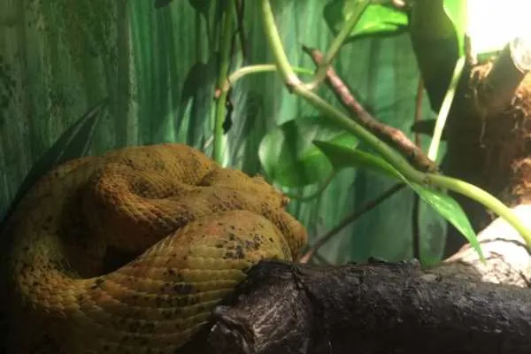 Philadelphia Zoo!