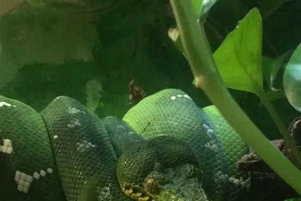 Philadelphia Zoo!