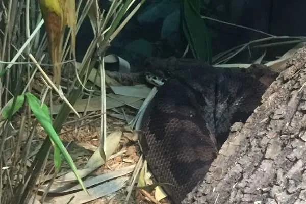 Philadelphia Zoo!