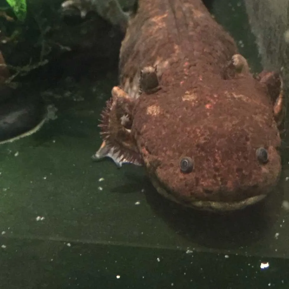 Philadelphia Zoo!
