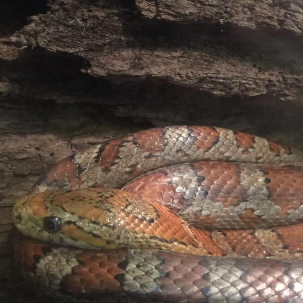 Philadelphia Zoo!