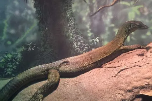 Philadelphia Zoo!