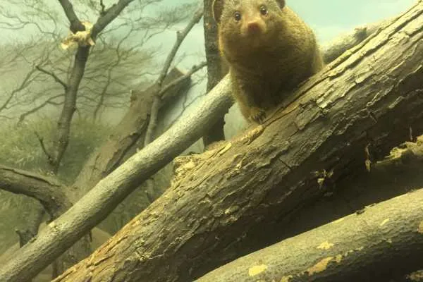 Philadelphia Zoo!