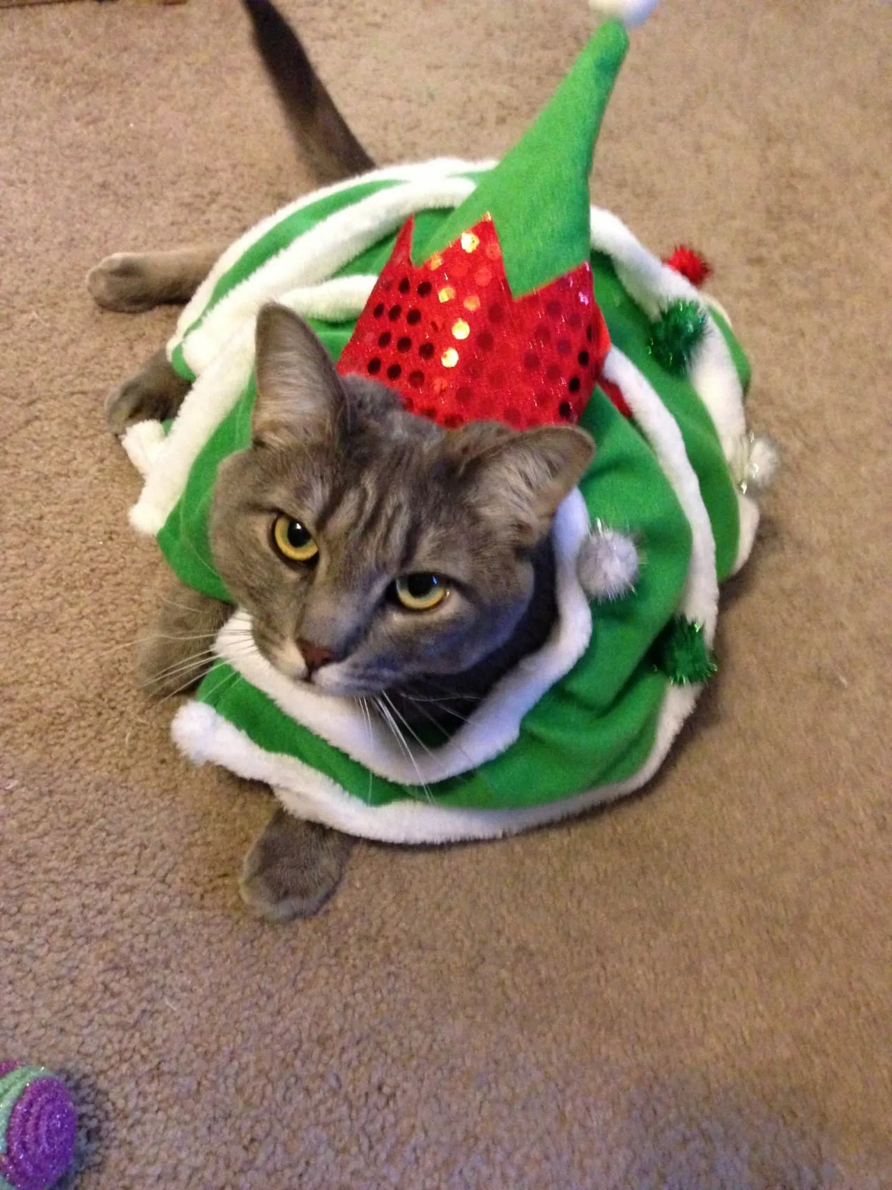 Christmas Tree Mabel