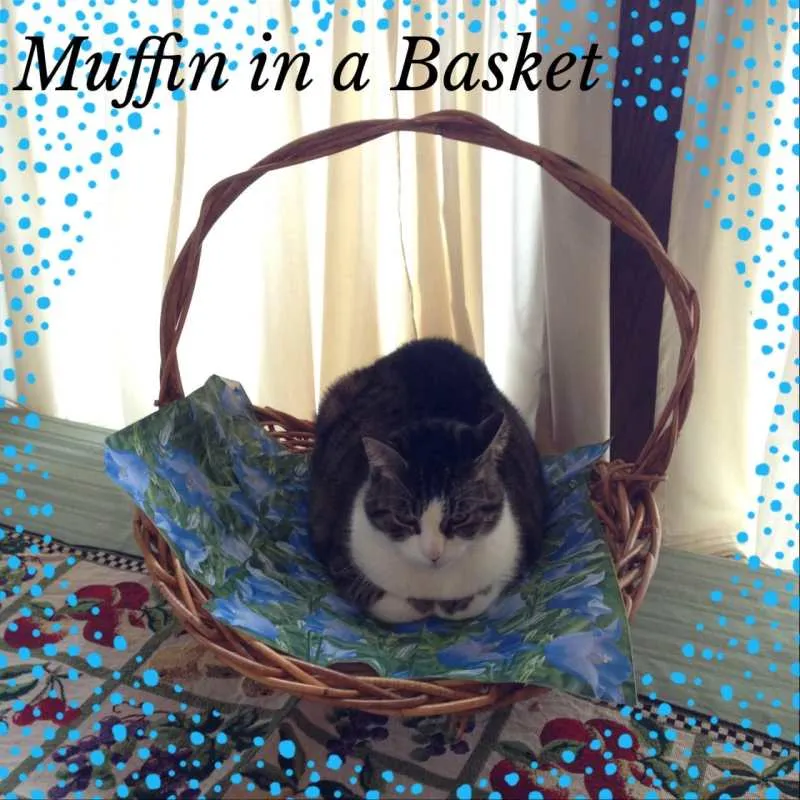 Muffin in a Basket