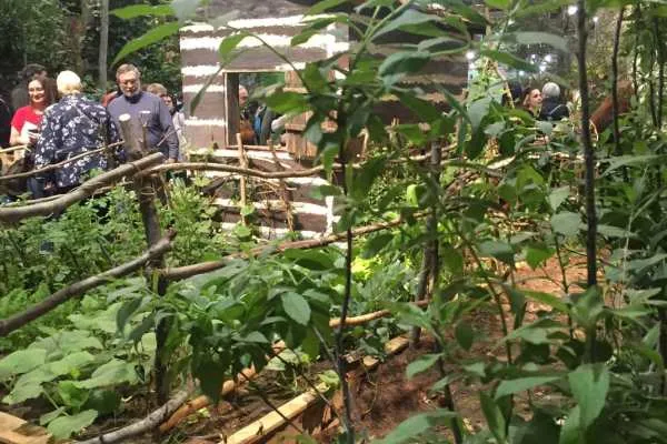 2016 Philly Flower Show Recap