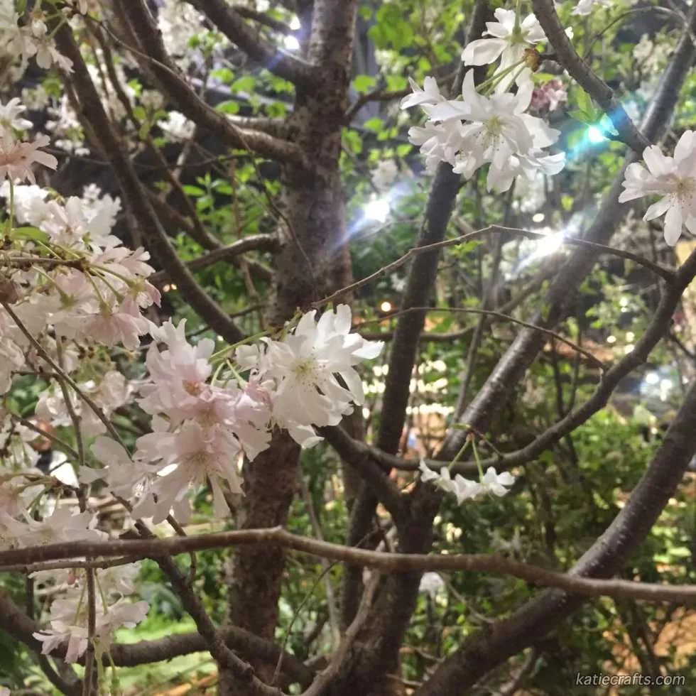2016 Philly Flower Show Recap
