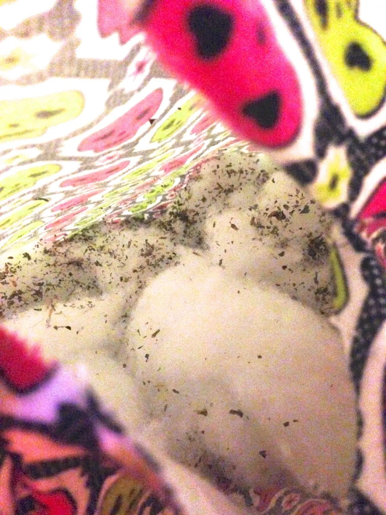 Cozy Catnip Kitty Pillow by